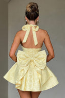 Bryleigh | Halter Neck Mini – Deep V Oversized Back Bow Summer Party Dress