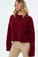 Fern | Solid Knit Sweater – Casual Crew Neck Raglan Long Sleeve Ribbed Trim
