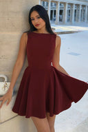 Hadassah | Sleeveless Mini Dress – Party Crew Neck Pleated Flared Skirt