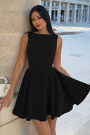 Hadassah | Sleeveless Mini Dress – Party Crew Neck Pleated Flared Skirt