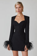 Josefina | Feather Trim Mini Dress – Evening Sweetheart Neck Long Sleeve Bust Cups