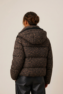 Leora | Leopard Print Puffer Jacket – Winter Hooded Zip Front Long Sleeve